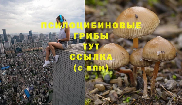 спайс Балахна