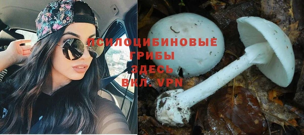 прущая мука Гусь-Хрустальный